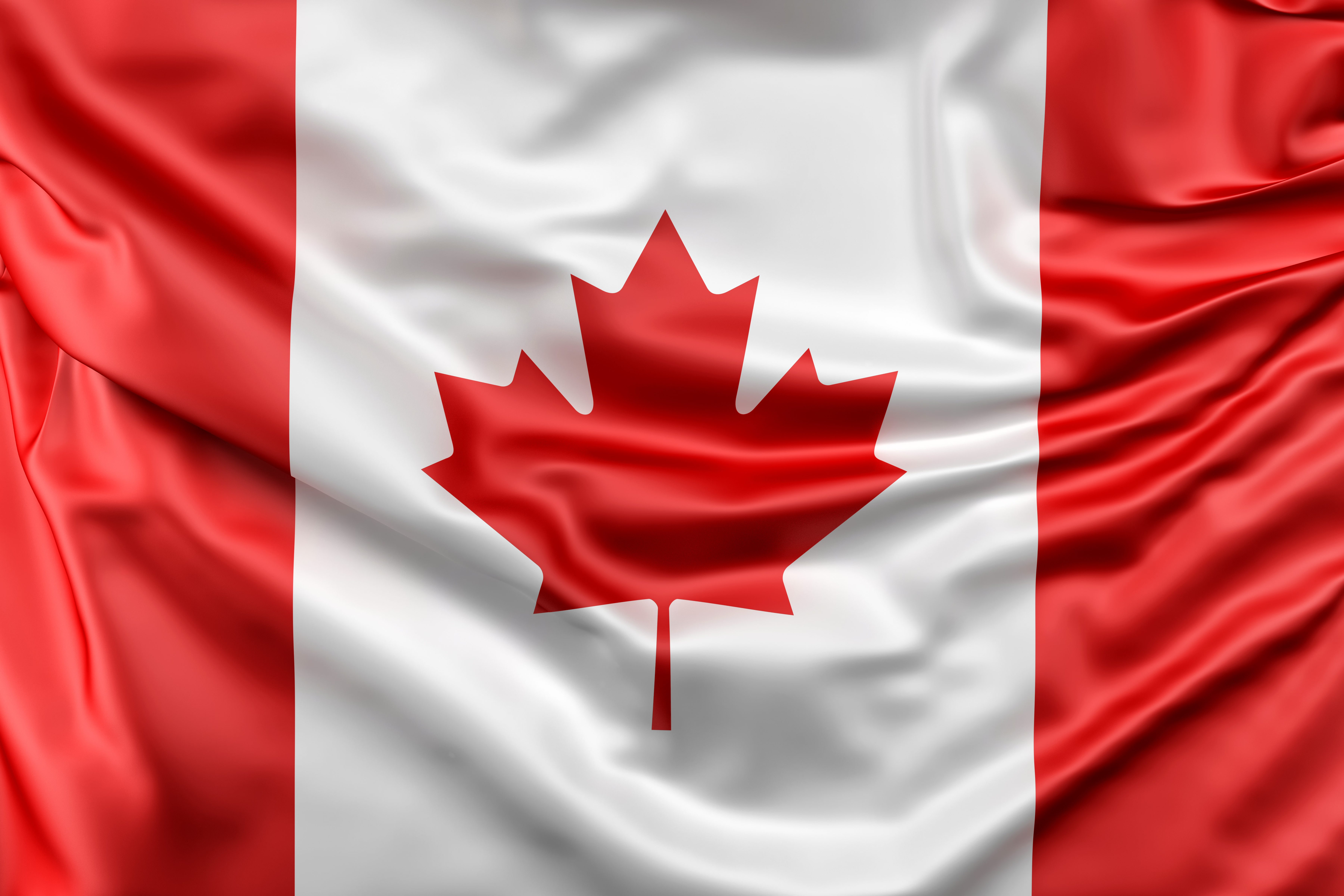 Canadian themed illustration